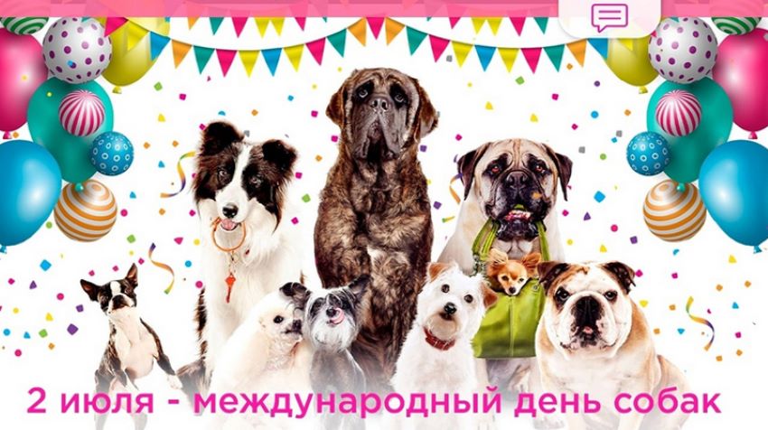 2 июля Международный день собак