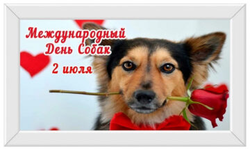 Мой славный пес