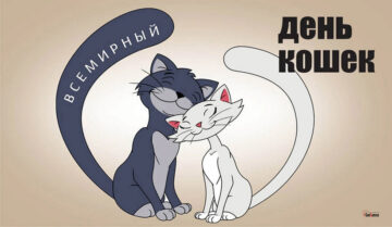8 августа Всемирный день кошек