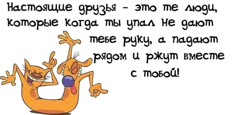 настоящие друзья