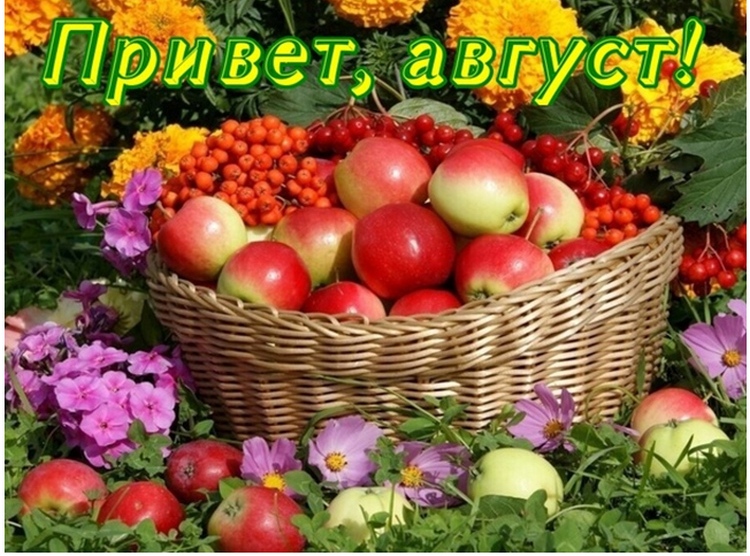 Привет август