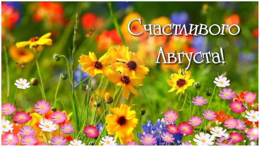 Счастливого августа
