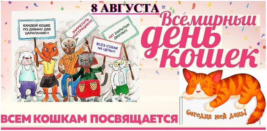 Всемирный день кошек