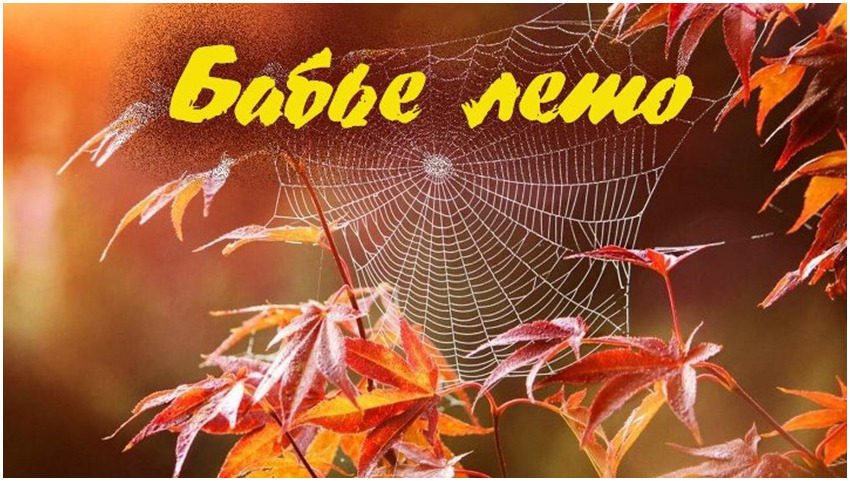 Бабье лето 2026 г