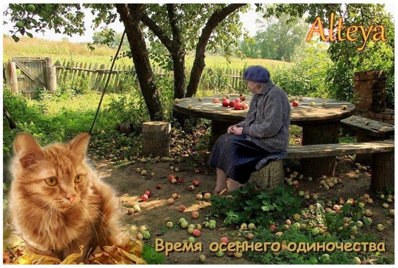 vremya-osennego-odinochestva